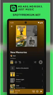 NO ADS, NO RISKS, JUST MUSIC SPOTYPREMIUM.NET